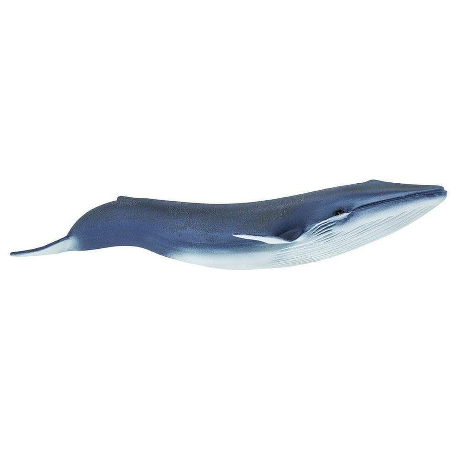 Blue Whale Toy – The New Bedford Whaling Museum