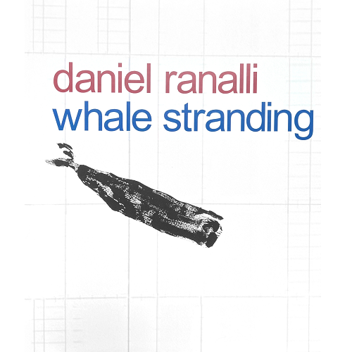 Dan Ranalli Daniel Ranalli: Whale Stranding – The New Bedford Whaling Museum