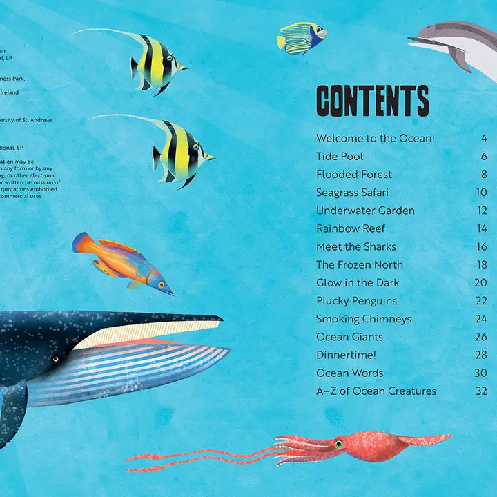 Book: My First Oceans Atlas – The New Bedford Whaling Museum Book: My First Oceans Atlas – The New Bedford Whaling Museum